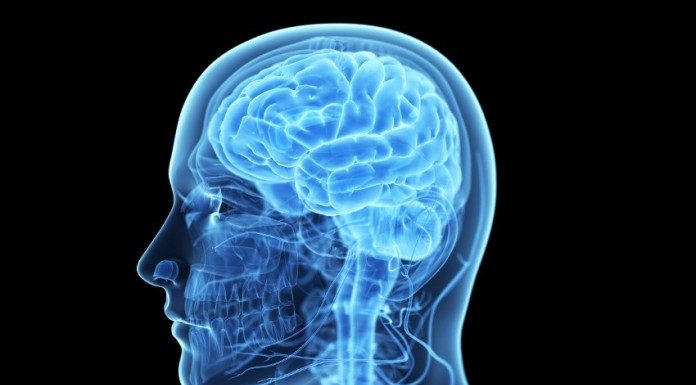 ტვინის დაბერების გენი ნაპოვნია!