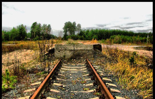 სოციალიზმის ჩიხი