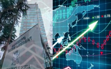 საქართველოს მაკროეკონომიკა და მიკროადამიანები