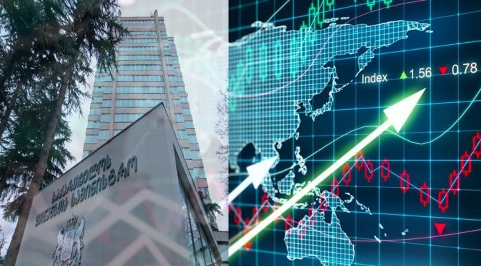 საქართველოს მაკროეკონომიკა და მიკროადამიანები